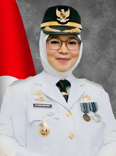 wakil bupati luwu timur